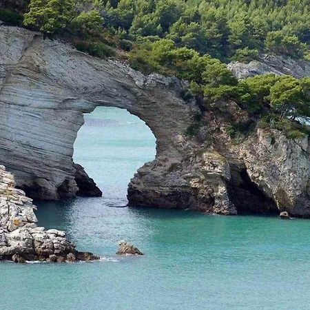 Bianca 호텔 산 조반니 로톤도