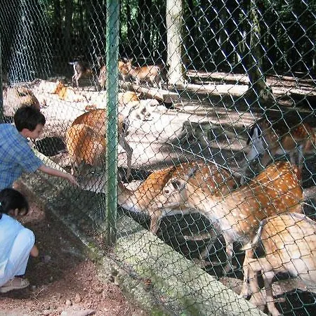 Bianca サン・ジョバンニ・ロトンド